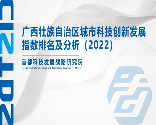 骚批后入【成果发布】广西壮族自治区城市科技创新发展指数排名及分析（2022）